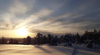 Snowshoeing Experience in Lulea - Photo 3
