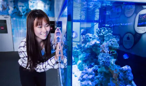 Science Centre Singapore Package gallery