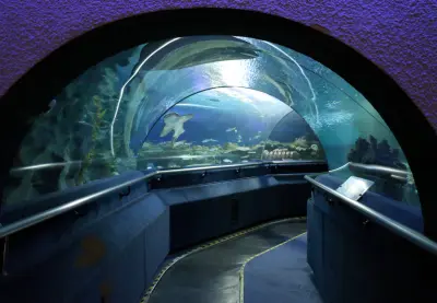 Aquaria KLCC - Photo 4