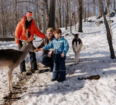 Montebello, QC: General Admission to Parc Omega - Photo 2