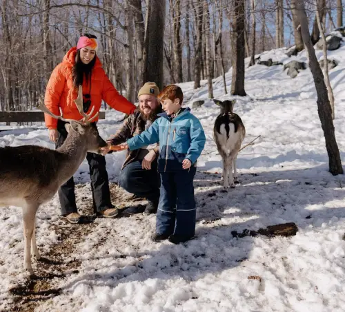 Montebello, QC: General Admission to Parc Omega gallery