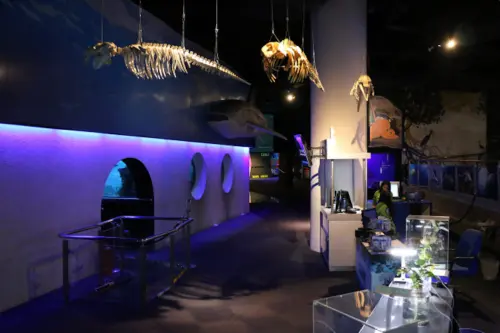 Aquaria KLCC gallery