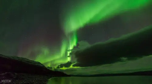 The Great Aurora Chase 4 Hour Evening Tour from Abisko or Björkliden gallery