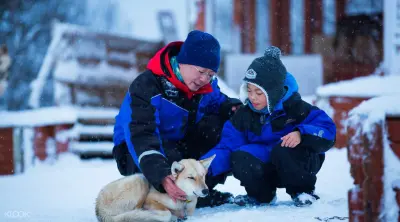 Husky Dog Sledding - Photo 2