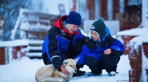 Husky Dog Sledding gallery