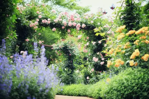 Kobe Nunobiki Herb Garden gallery