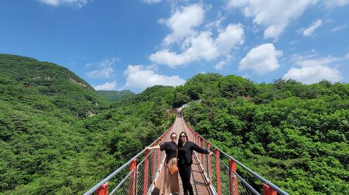 Private DMZ Tour and Suspension Bridge + Korean BBQ Day Tours