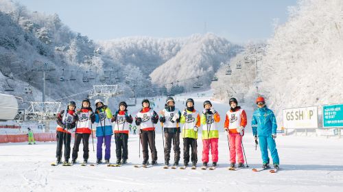 Korea Elysian Gangchon Winter Ski 1-day Tour [Ski & Snowboard]