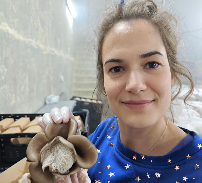 Zurich's best-kept secret: the hidden world of mushrooms!