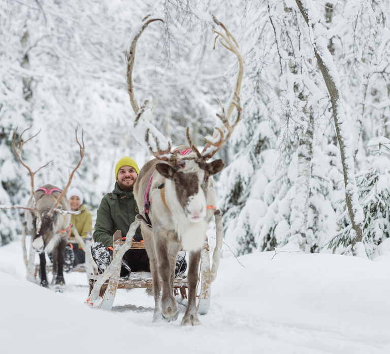 Levi: Winter Highlights Tour with Snowmobiling
