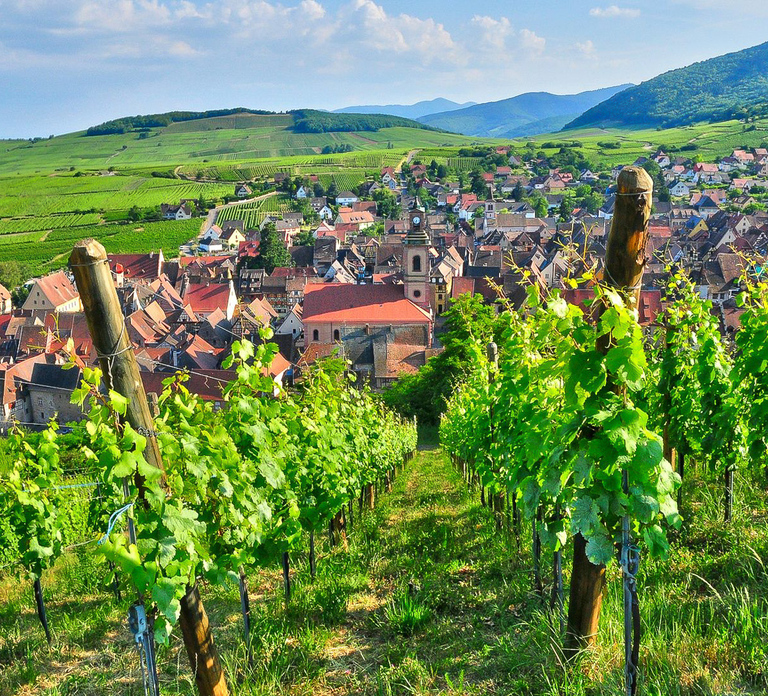 From Paris: Small-Group Champagne Day Trip with Six Tastings