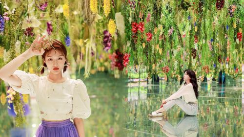 Nami Island + Gapyeong Begonia Bird Park + Gangchon RailBike One Day Tour (Depart from Seoul) Day Tours