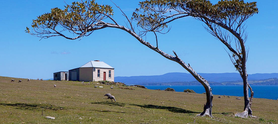 Maria Island National Park Tour from Hobart - HolidaySG