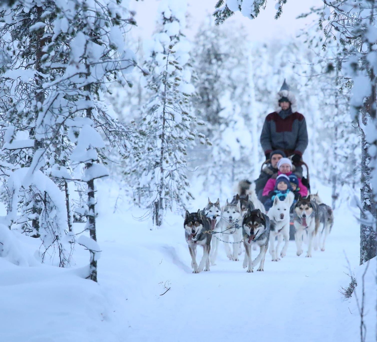 From Rovaniemi: Self-Driven 10km Husky Sled Ride