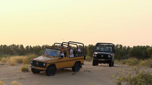 Dubai: Morning Heritage Safari by Vintage G Class & Al Marmoom Oasis Day Tours