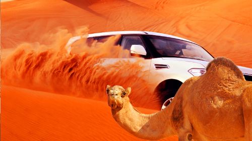 [Dubai, UAE 1-Day Sand Dune] Red Sand Dune|Camp performance + hotel pick-up in the city + Arabic buffet + camel riding experience (five camps to choose from) with optional stargazing Day Tours