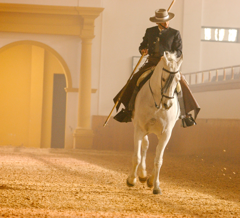 Jerez de la Frontera: How the Andalusian Horses Dance