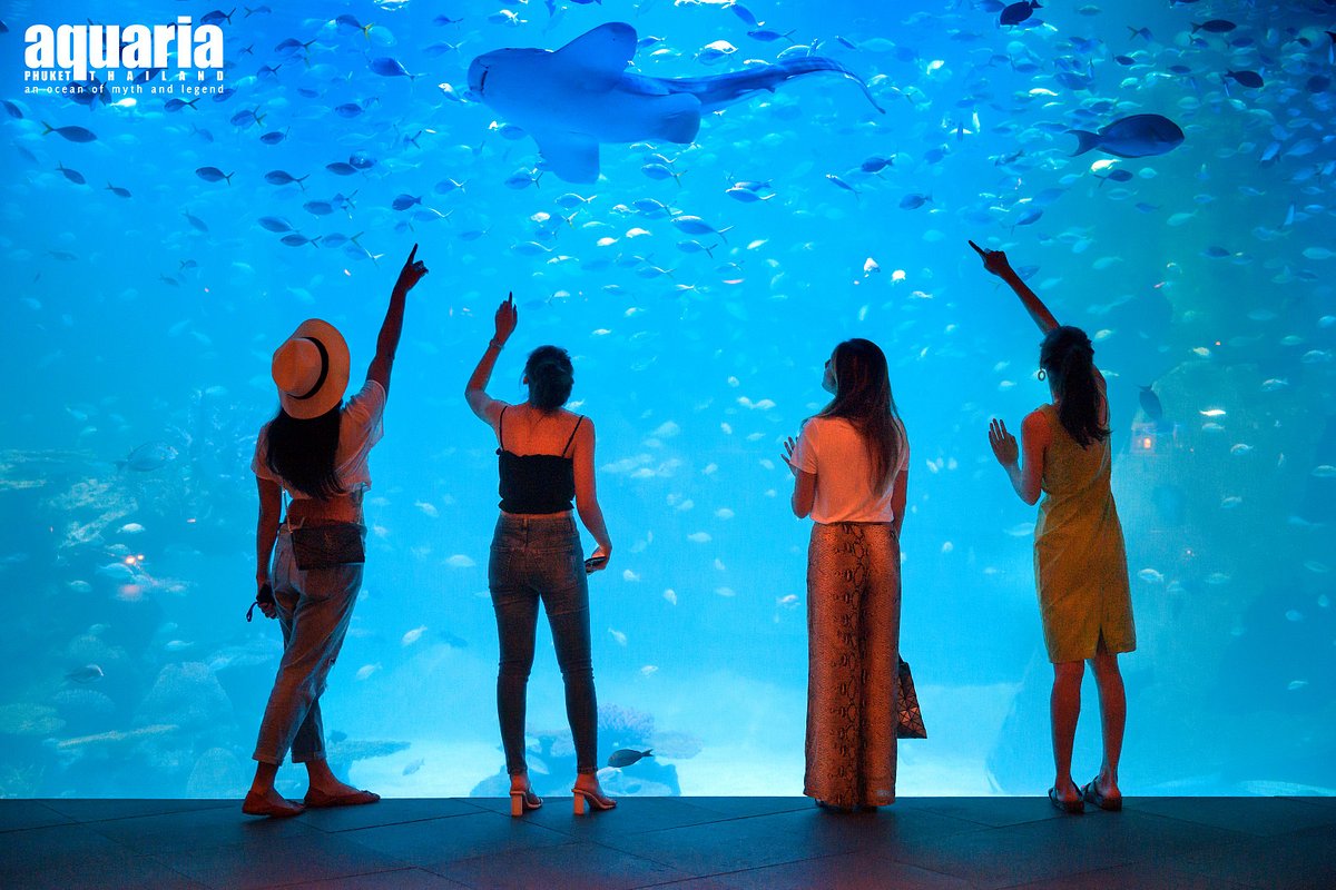 Aquaria Phuket - Non Thai Resident - HolidaySG