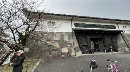 Tokyo: Discover Traditional Tokyo Full-Day Bicycle Tour Day Tours