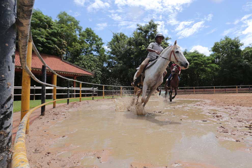 Siem Reap Happy Horse Riding - HolidaySG