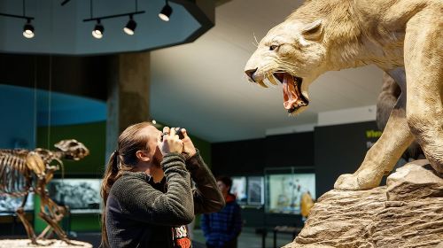 La Brea Tar Pits and Museum Admission Ticket with Excavator Tour Day Tours