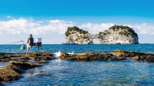 1-day tour to Nanki Shirahama + Wakayama cat station master Kishi train + Senjojiki + Sandanbeki cliffs
