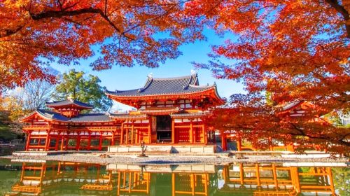 Departing from Osaka [Lazy Line] Interact with Nara Deer + Taste Uji Matcha + Optional Hot Spring Experience Day Tours