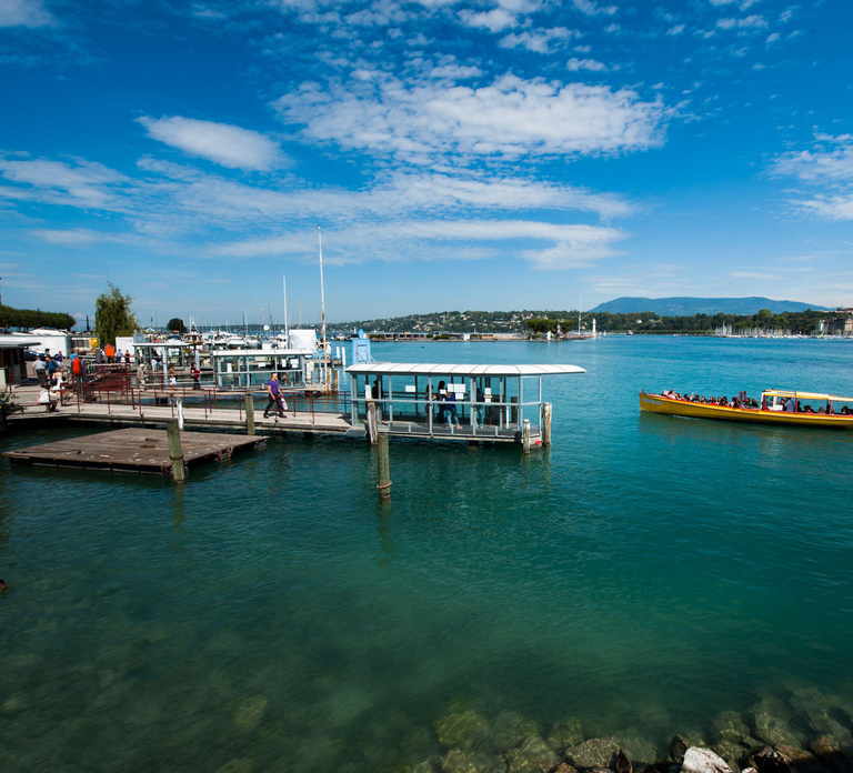 Geneva Walk & Cruise:The secrets of the Jet D'eau & apéritif