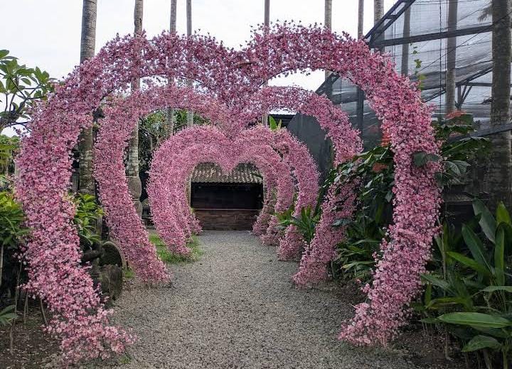 Big Garden Corner
