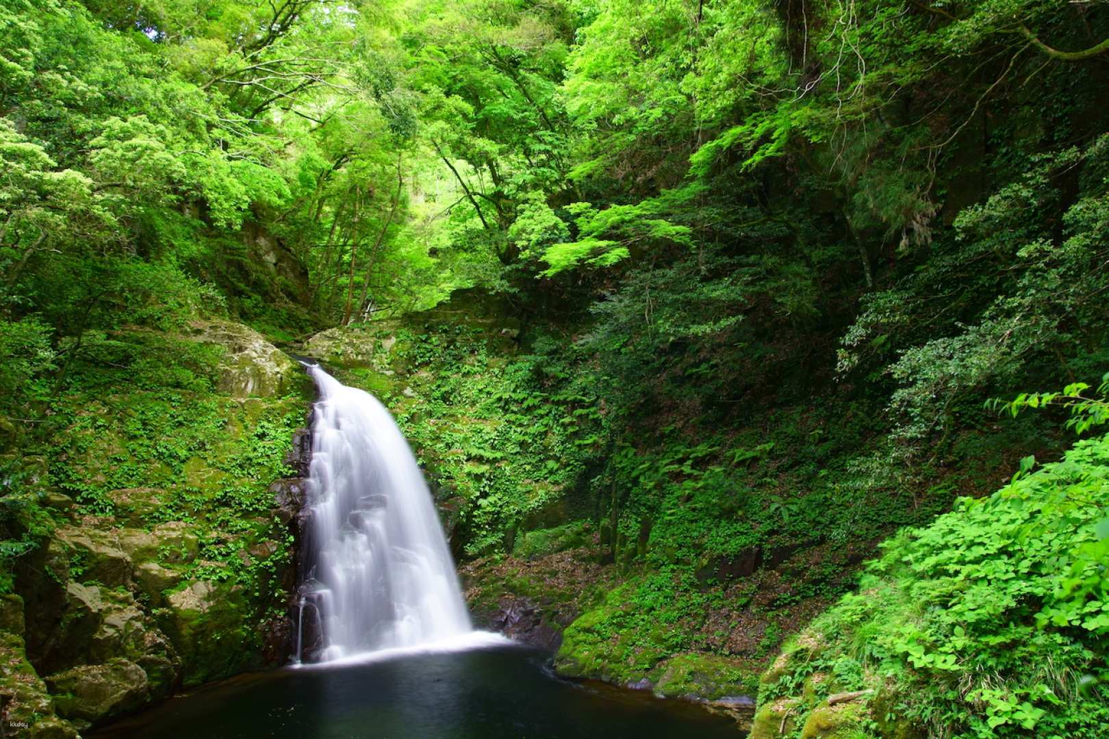 Akame 48 Waterfalls & Japan Salamander Center Admission | Mie