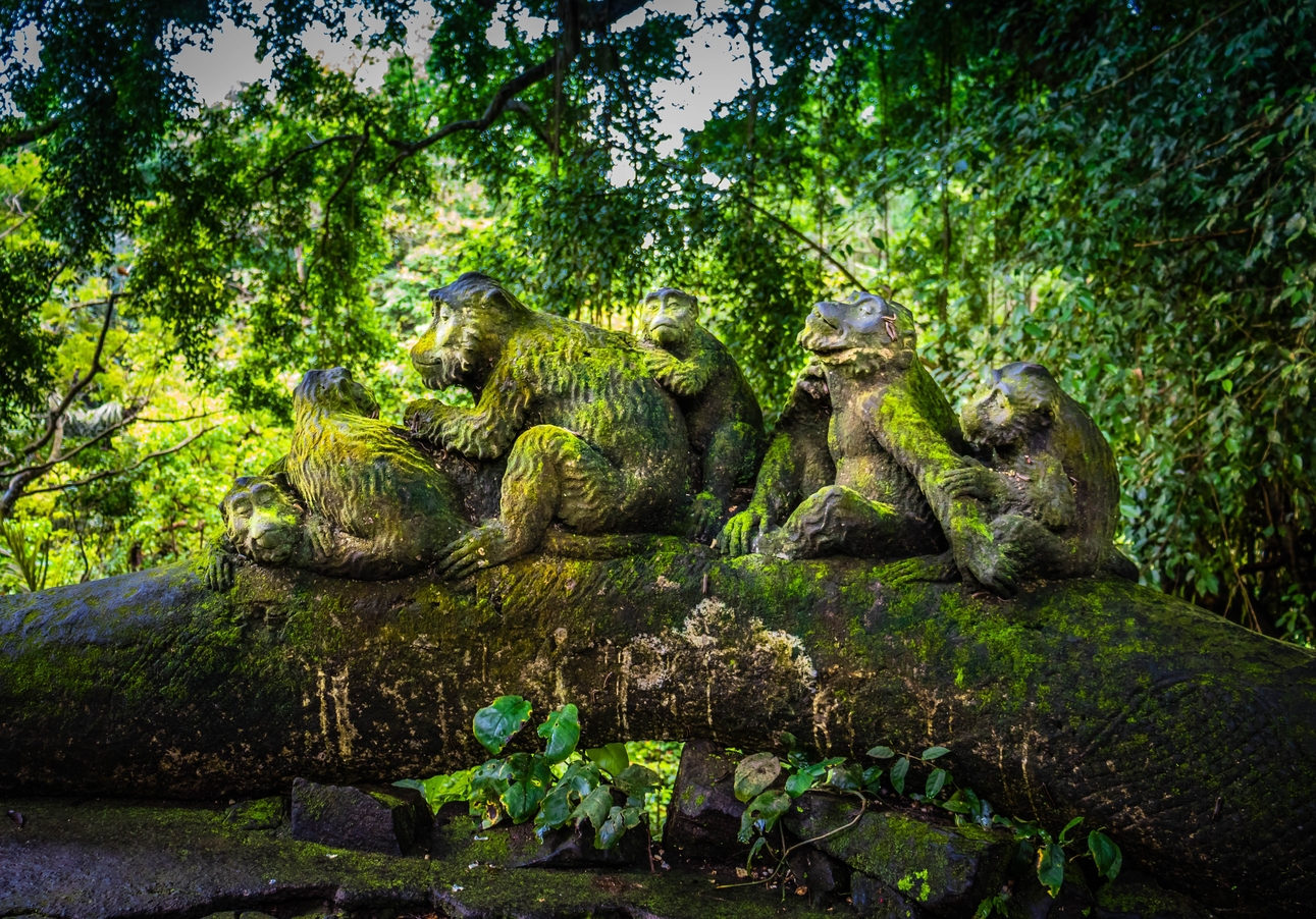 Monkey Forest Entry Ticket  Transfer Included - HolidaySG