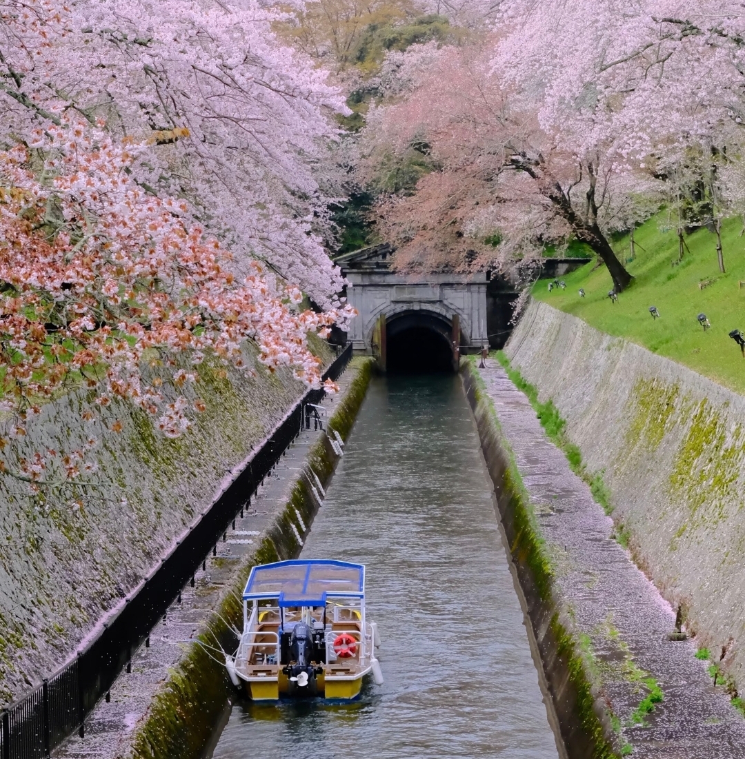 Four Seasons Biwa Lake & La Collina Omihachiman & Nara 1-Day Tour - HolidaySG