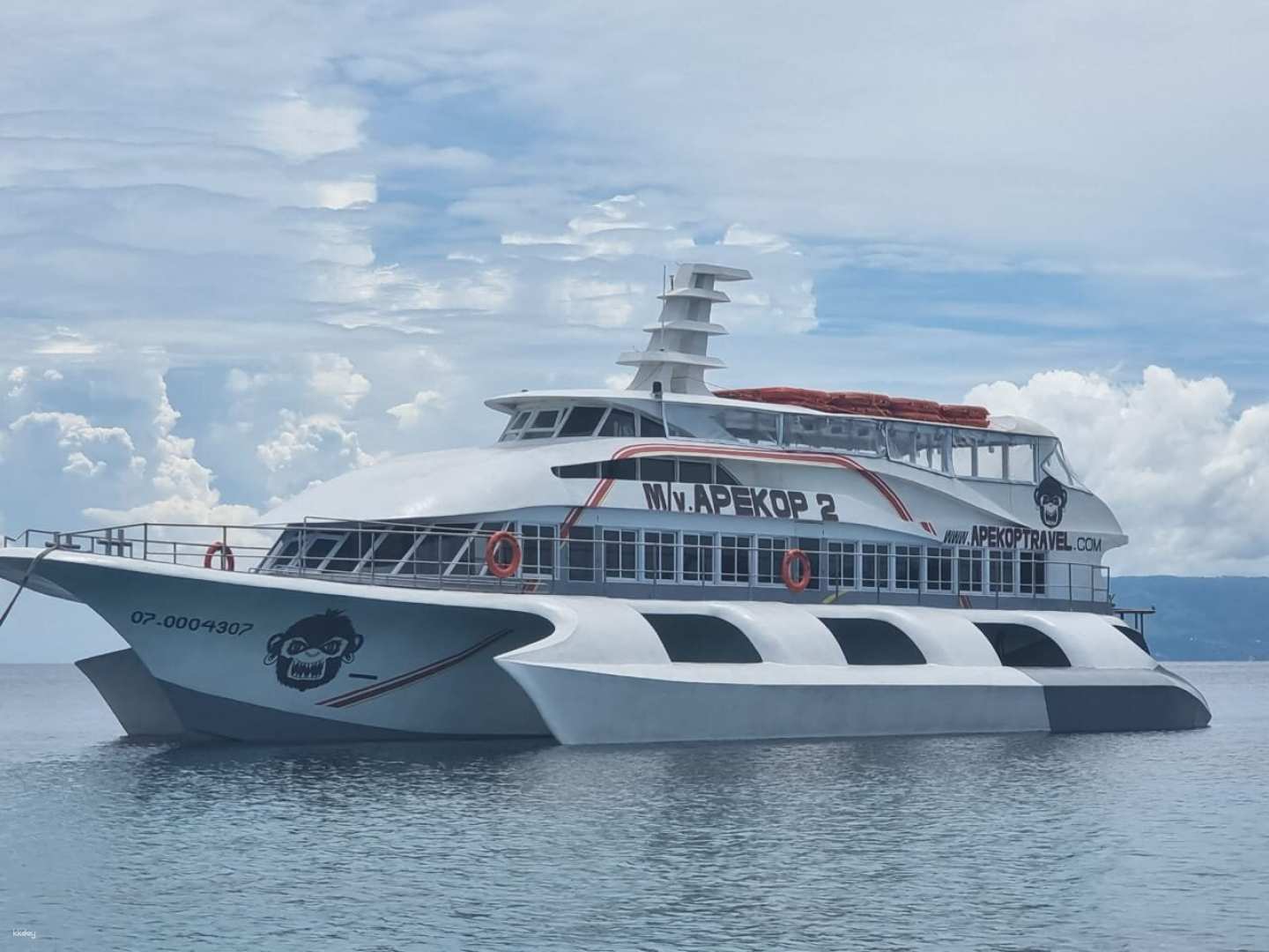 Shared Ferry Transfer from Tagbilaran Bohol or Larena Siquijor | Philippines