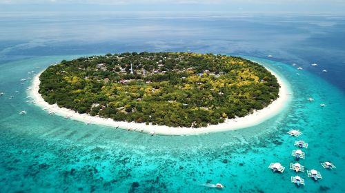 Bohol 1-day tour: dolphin watching + Balicasag snorkeling + fishing experience|round-trip transfer Day Tours