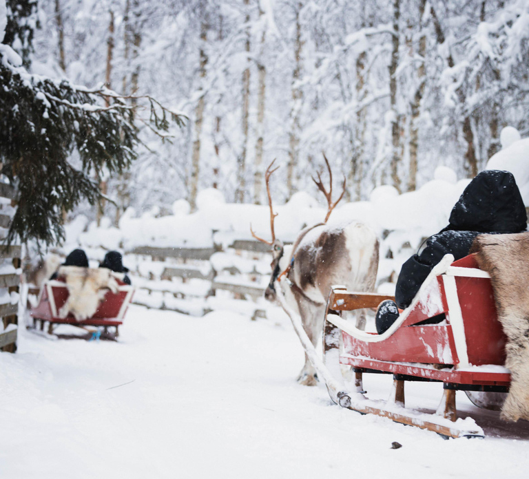 Rovaniemi: Husky Farm and Reindeer Experience