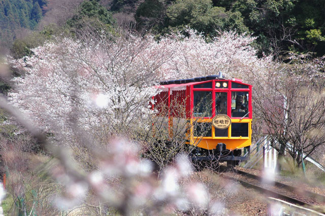Arashiyama Sagano Romantic Train