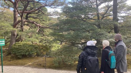 Kyoto: Nijo Castle and Kyoto Imperial Palace Guided Tour Day Tours