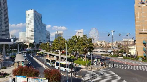 Night Tour Yokohama: Walk & Discover with a Local Day Tours