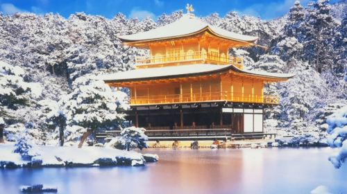 Kyoto Ancient Capital Cultural Tour: A Day Trip to Kyoto's Ancient Temples and Fushimi Inari Shrine Day Tours