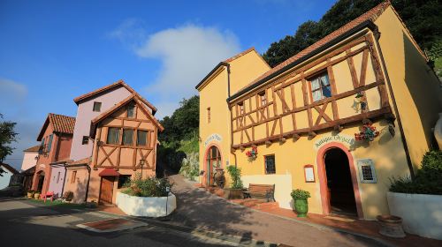 Nami Island one-day tour in South Korea [Nami Island & Petite France Village & Italian Village & Hanbok Experience] Day Tours
