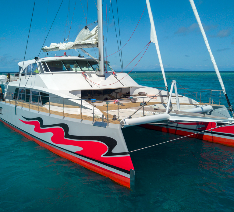 From Cairns: Great Barrier Reef Cruise by Premium Catamaran - HolidaySG