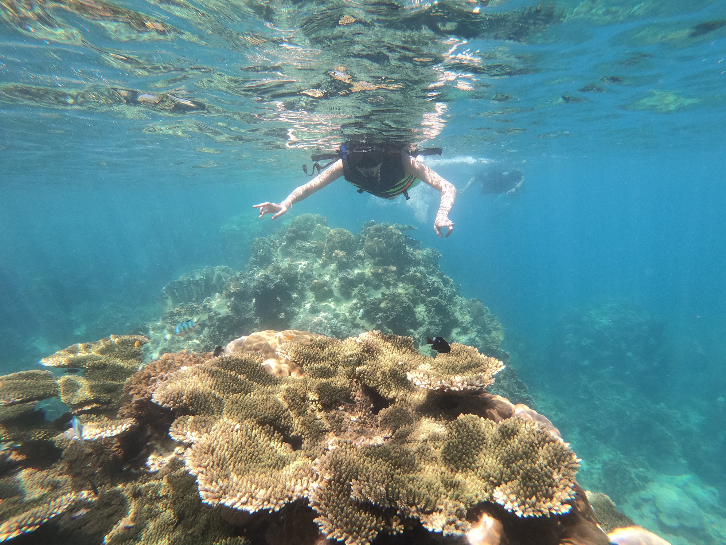 Join Tour Koh Tao & Koh Nangyuan Snorkeling by Speedboat from Samui