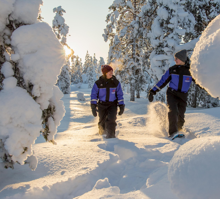 Ylläs: Forest Hike with Snowshoes