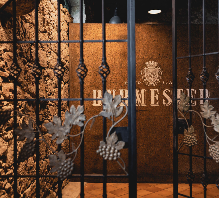 Porto: Burmester Cellar Tour with Tasting & Pairing Options
