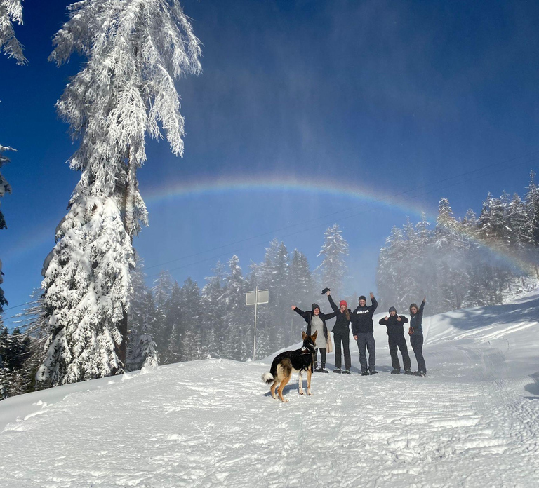 Ehrwald: Zugspitze Snowshoe Hiking Tour with Mountain Views