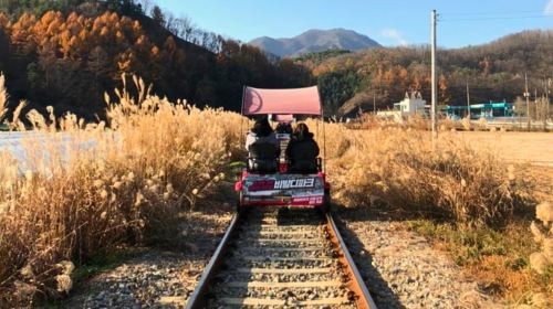 Gyeonggi Province|Gangchon Rail Park X Petite France & Italian Village X Nami Island Day Tours
