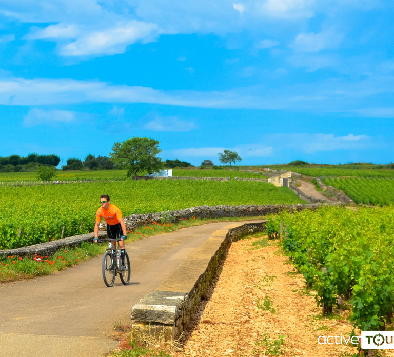 Beaune: Winery Tour by Bike with Wine Tasting