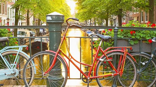 Amsterdam City Center Guided Walking Tour - 12 guests 2,5h Day Tours