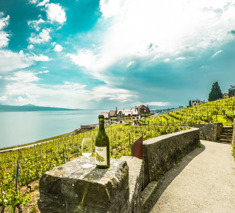 Geneva: Montreux, Chaplin’s World, Chillon Castle & Apéritif