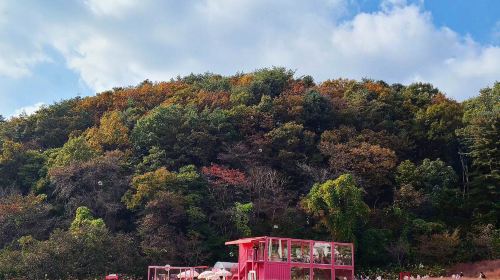 Lakeside landscape seen on a Pocheon day tour to Sanjung Lake, Gukdonggeori Waterfall and Pocheon Herb Island